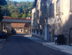 Lišák opustil noru