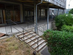 Čekání na Patrika