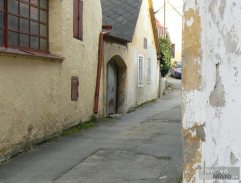 Zpívající Michal s květinou