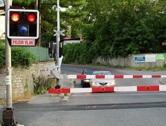 Kam doskáče ranní ptáče