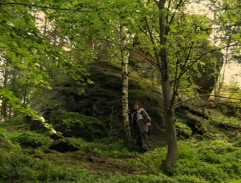 Záprtek se opírá o břízu