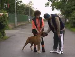 ulica pri Královej vile