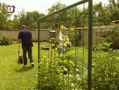 na záhrade u Královcov