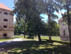 Santiniho jazyk