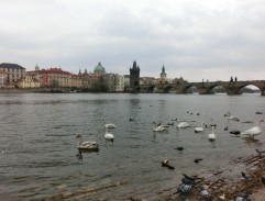 Krádež koloběžky