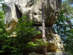 Přijela k nám pouť