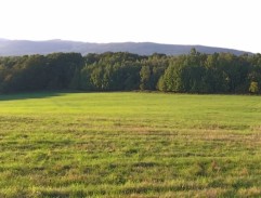 Šarvátka mezi princem Kaspianem a králem Petrem