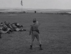 Osamělý strom na obzoru