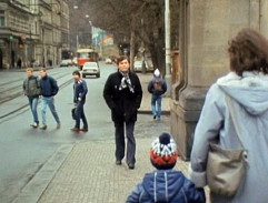 8. Osmistá první kráva