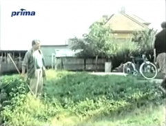 U Stehnových na zahradě