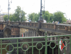 8. Osmistá první kráva