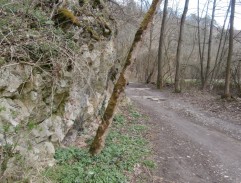 Lesní cesta u skály