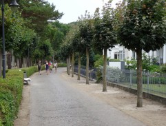 redaktor Holan na ulici