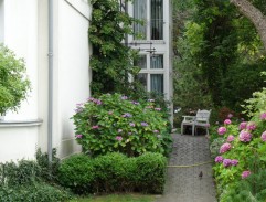 Sledování redaktora Holana