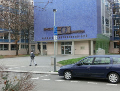 29. Mimikry