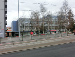 29. Mimikry