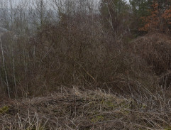 Rusňák se vrací do areálu dolu