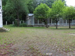 autobus s nemeckými psíčkarmi