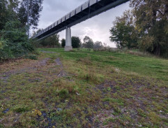 27. Rukojmí v Bella Vista