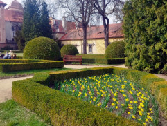 Zeman v zámockom parku