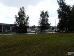 30. Růže pro Zemana