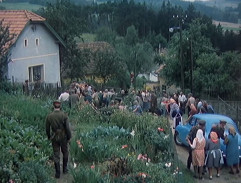 10. Vrah se skrývá v poli