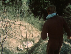 3. Loupež sladkého i