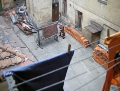 30. Růže pro Zemana