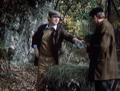 Lesní cesta u skály