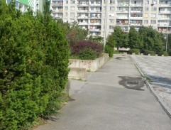 Ze života pubescentky