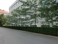 pred základnou školou