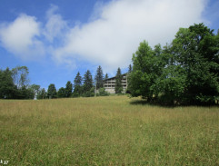 Žijí Markovi rodiče?