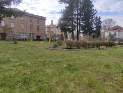 park v psychiatrickej liečebni