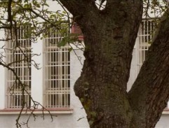 vyšetrovacia väzba