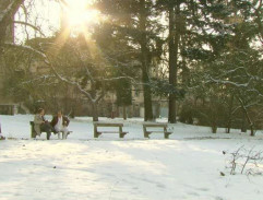 park v psychiatrickej liečebni