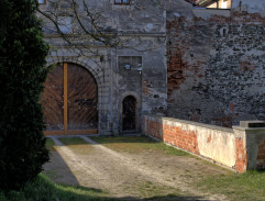 O Janovi a podivuhodném příteli