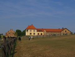 lúka pri veľkostatku 2