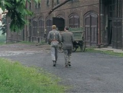 statok vo Velkej Vsi 2