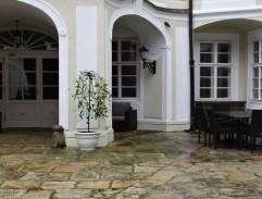 Policejní prezident