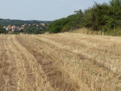 Rodina je základ státu