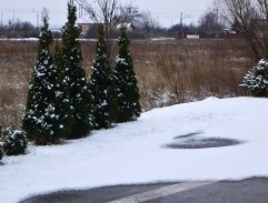 čerpacia stanica v Bieli 3