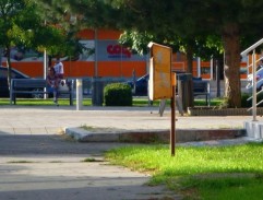 3. Žraloky a planktón