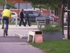 3. Žraloky a planktón