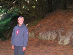 Cesta lesem u Rádohrabského přívozu