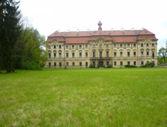 Psychiatrická léčebna