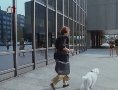 pri obchode s arafonmy