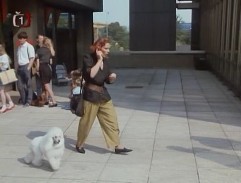 pred obchodom s arafonmy