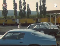 pred cirkusovým stanom