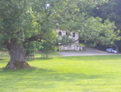 Rádcové v zahradě