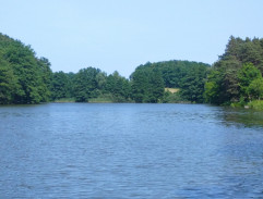 Rádcové v rybníce